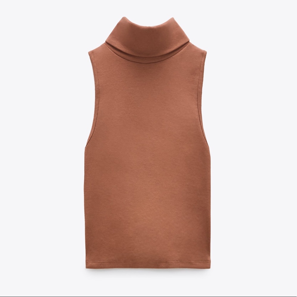 Zara ribbed turtleneck top